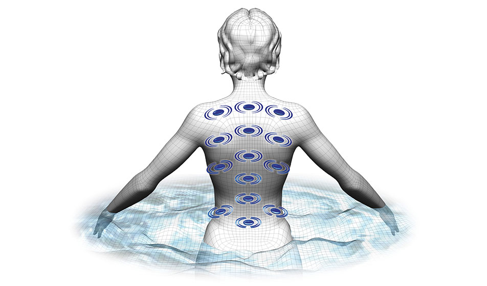 biomagnetic therapy system